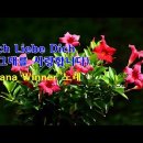 Ich Liebe Dich (그대를 사랑합니다) - 노래 "Dana Winner (다나 위너)" [가사자막] 이미지