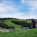 수리봉목장 이미지