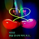 화려한오늘