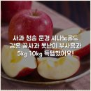 사과 청송 문경 시나노골드 감홍 꿀사과 못난이 부사흠과 5kg 10kg 득템했어요!