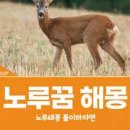 검은노루