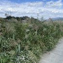 하대리경로당 이미지