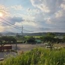 스테이솔올 이미지