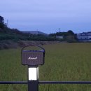 온리원스테이 이미지