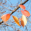 역곡로257번길 이미지