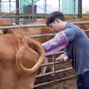 의중농장 농민신문