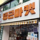 러쉬캣 | 부산 해운대 24시 반려동물용품점 추천 인기템가득 댕근마켓 후기