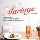 미라쥬타워 넥스트데일리