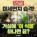 21C 세탁소 이미지