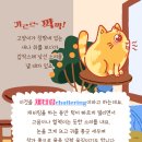 강서 더힐 동물병원 이미지