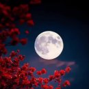 좋은사이 이미지