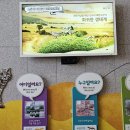 사구센터 전시실 이미지