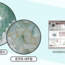 보석의료기2 네이버블로그