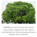 옥길버들초등학교5 네이버블로그