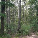 원동초등학교이천분교장 이미지