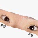 샤비룸