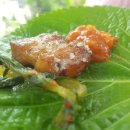 백운농장 이미지