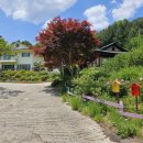 내린천펜션계곡사랑 이미지