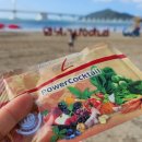 파워라인 이미지