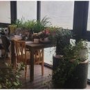 꽃피는산골민박 이미지