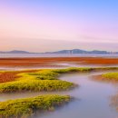 후크선장과 바다낚시 이미지