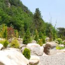 솔향수목원(암석원) 이미지