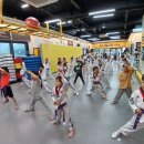 용인대 블랙벨트 태권도 이미지