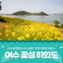 봄트레킹 좋은 예쁜섬~ 하화도 이미지