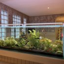 슬로우코티지 이미지