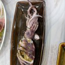 연초바다사냥