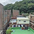 중앙동225 이미지