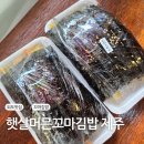 햇살머믄꼬마김밥 - 안산시 상록구 예술광장1로 46 | 제주 외도김밥맛집 햇살머믄꼬마김밥 제주본점 포장후기