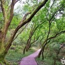 송림2길 이미지