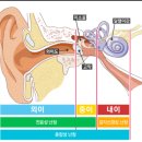 벨톤보청기 중랑지사 이미지