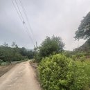 단양군산림조합 | 강원도 벌초 대행 강원도 평창 벌초 현장 소개 합니다