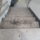 대구 수성구 만촌동 계단청소 후기 | 엘리베이터 청소부터 공용계단 얼룩 제거까지