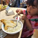 아기랑 후쿠오카 3박4일 (3일차) 28개월 3살 마린월드.라라포트.돈키호테 라라포트장난감박물관 강추!
