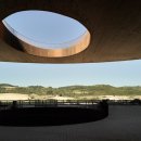 안티노리 이미지