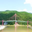 "왜 9경인지 가보니 알겠네요" 258m가 세 갈래로 갈라지는 국내 최초 Y형 사장교 이미지