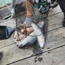 여수가족생활낚시터 이미지