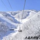 부영상사