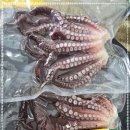 사천항포구 | 강릉낚시체험 손끝에 전해진 묵직한 손맛, 그 짜릿한 순간! 아리아호 배낚시체험 솔직 후기