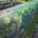 이강농장 이미지