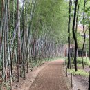 구영자리 이미지