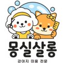 몽실쌀롱 이미지