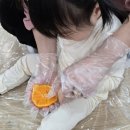 자이안트 | [ 오감자극 리틀 자이언트 ] 겨울학기 수강 후기 - 최누리 선생님