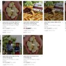 공주농장 이미지