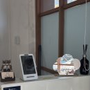 우리 애견 미용실 | 김해 애견미용실, 김해 삼계 애견 미용실 &#39;댕댕모아&#39; 후기 !!