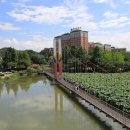 개. 이쁜날 이미지