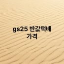 지에스(GS)25 도봉우체국점 | gs25 반값택배 가격